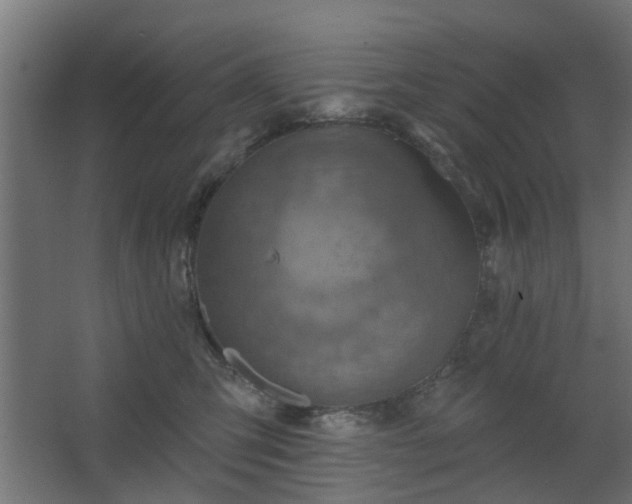 X0000067840423200604201246