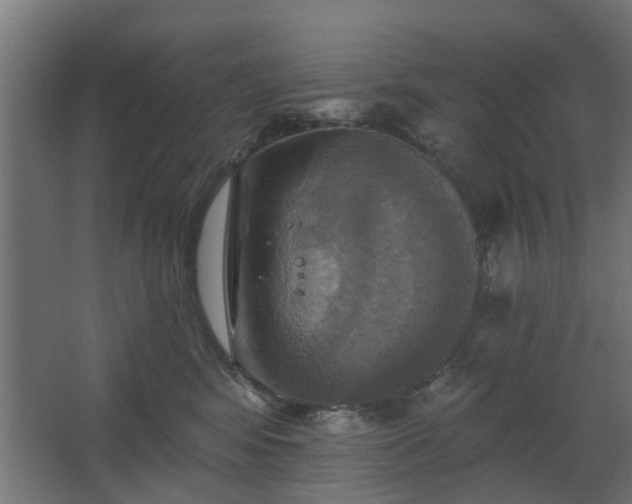 X0000067840424200604201246