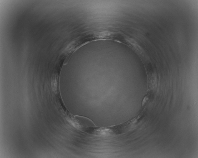 X0000067840427200604201246