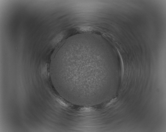 X0000067840428200604201246