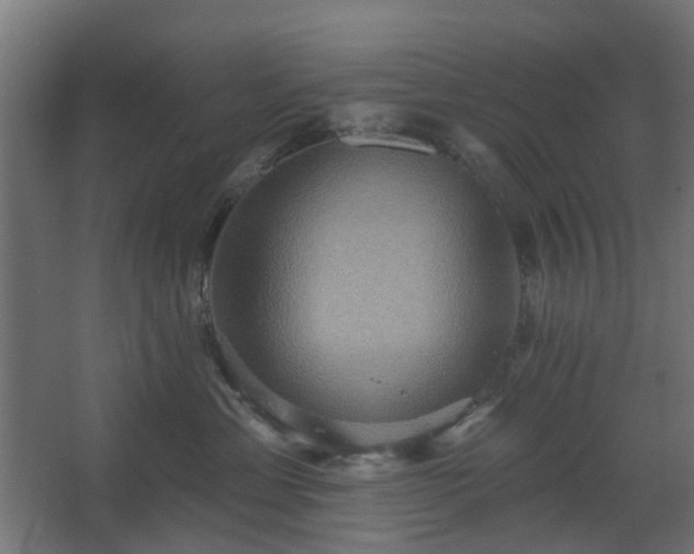 X0000067840429200604201246