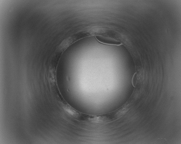 X0000067840430200604201246