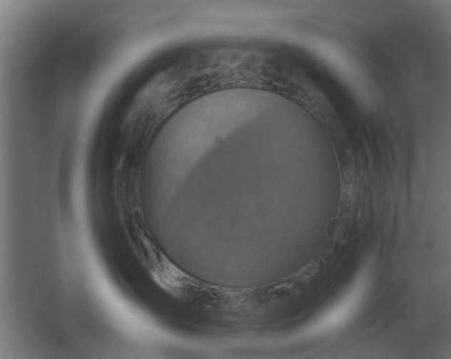 X0000067840431200604201246