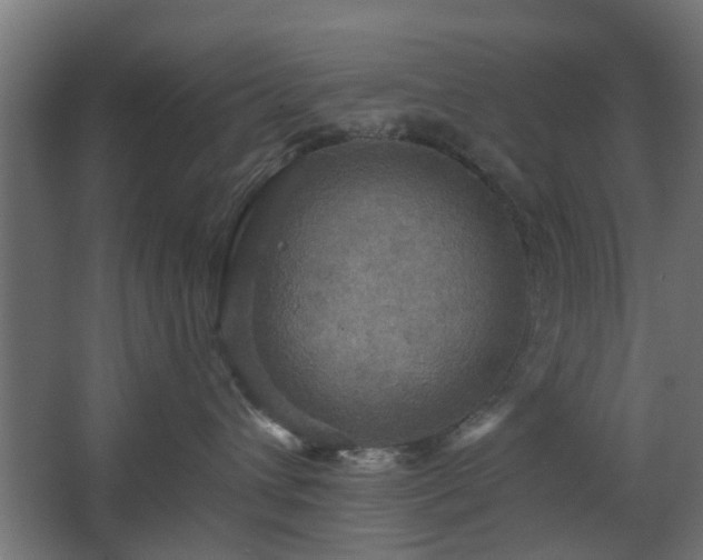 X0000067840432200604201246