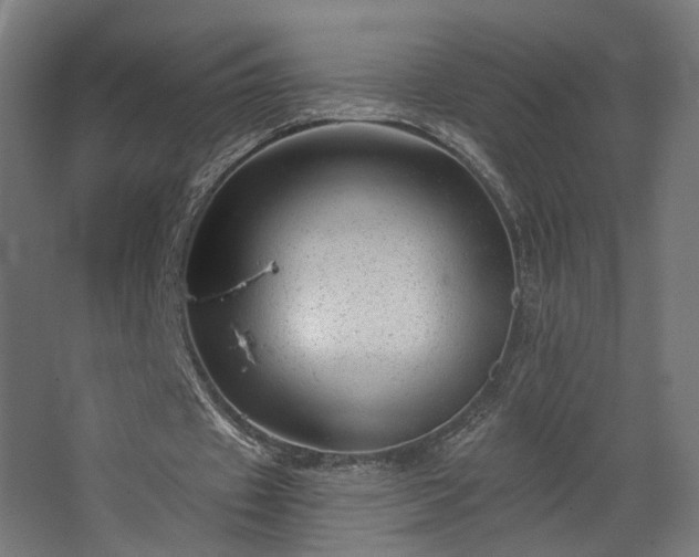 X0000067840433200604201245