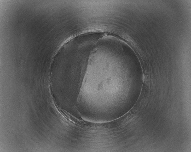 X0000067840434200604201245