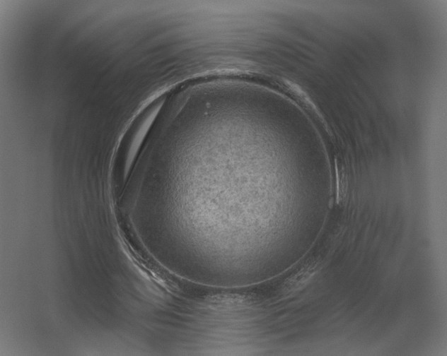 X0000067840435200604201245