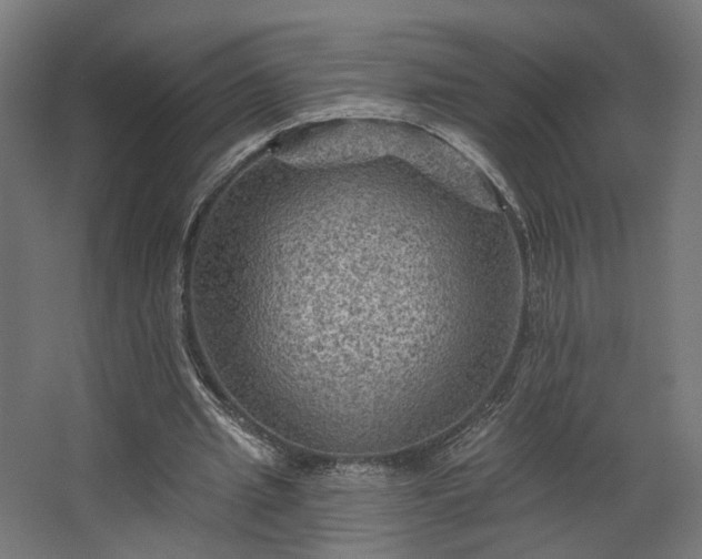 X0000067840437200604201245