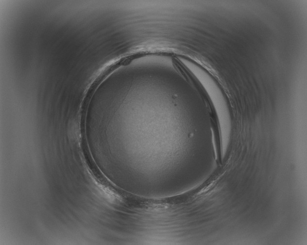 X0000067840438200604201245