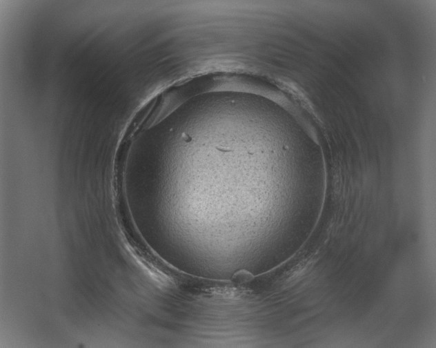 X0000067840439200604201245