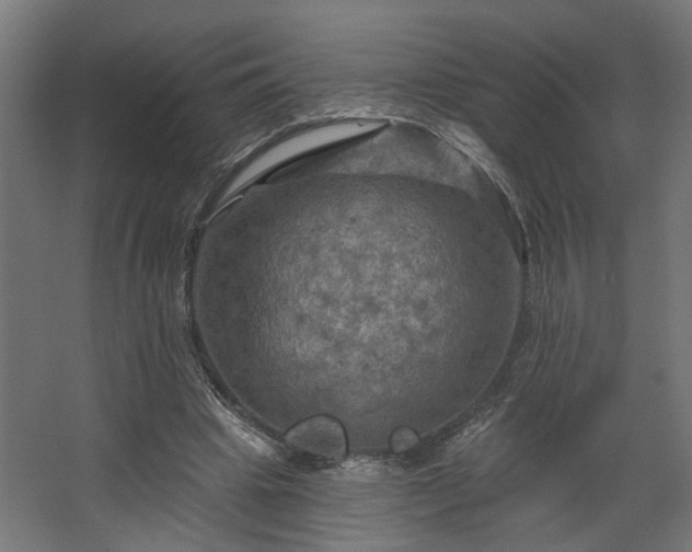 X0000067840441200604201245