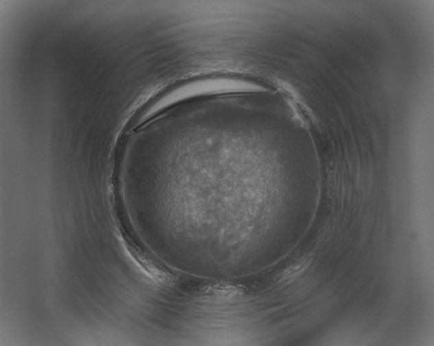 X0000067840443200604201245