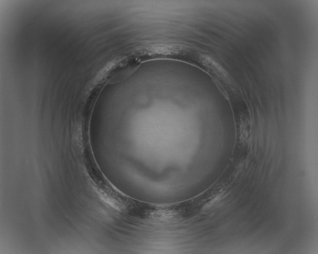 X0000067840444200604201246