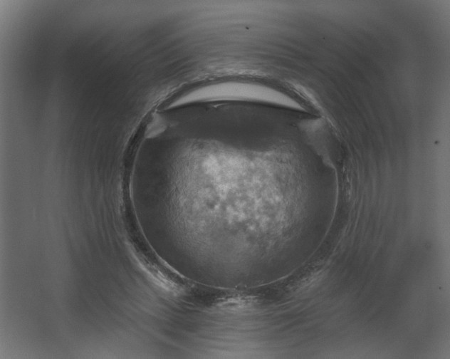 X0000067840447200604201246