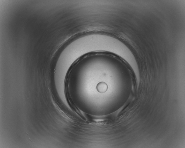 X0000067840448200604201246