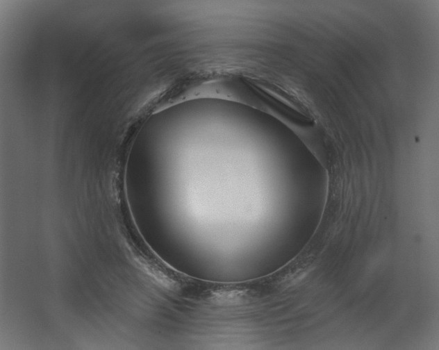 X0000067840450200604201246