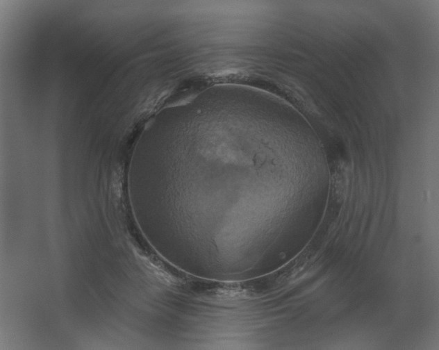 X0000067840458200604201246