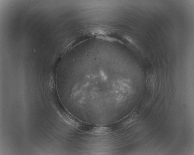 X0000067840459200604201246