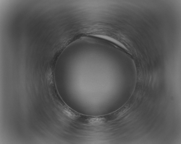 X0000067840465200604201246