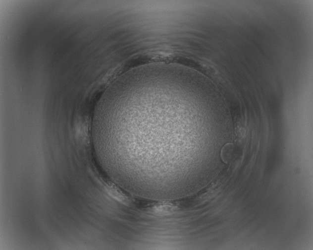 X0000067840468200604201246