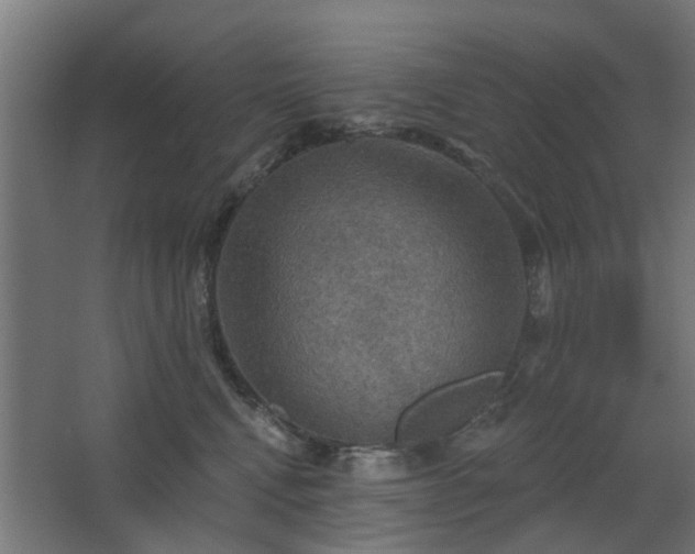 X0000067840472200604201246