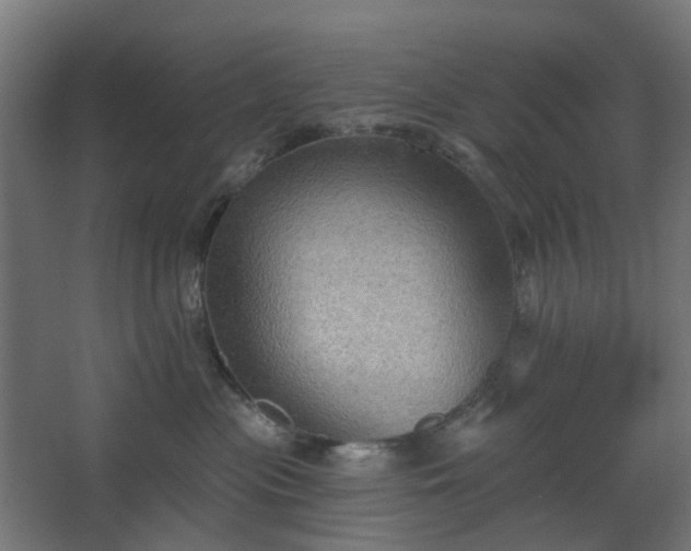 X0000067840477200604201246