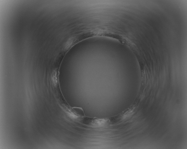 X0000067840479200604201246