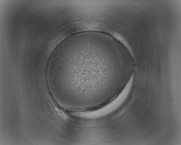 X0000067840481200604201245