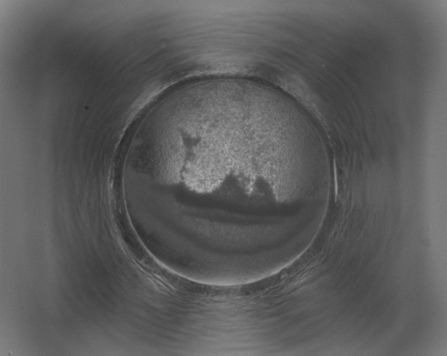 X0000067840483200604201245