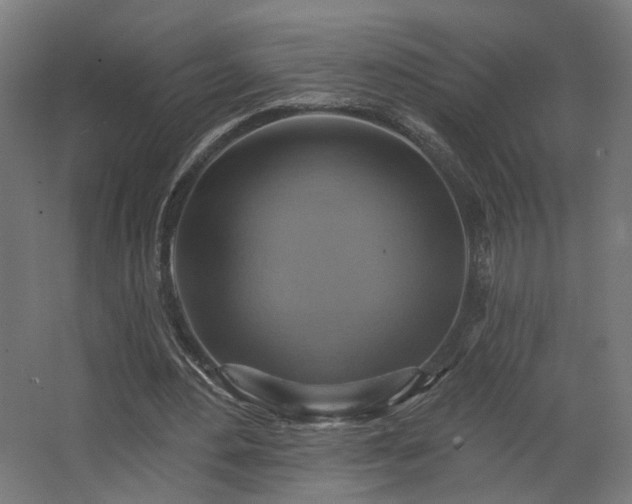 X0000067840484200604201245