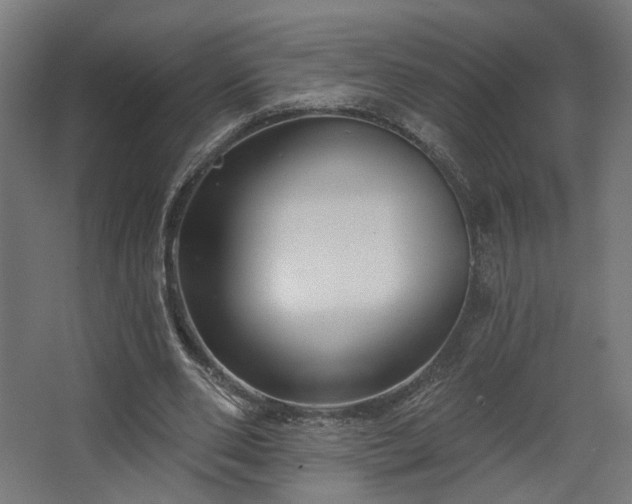 X0000067840486200604201245