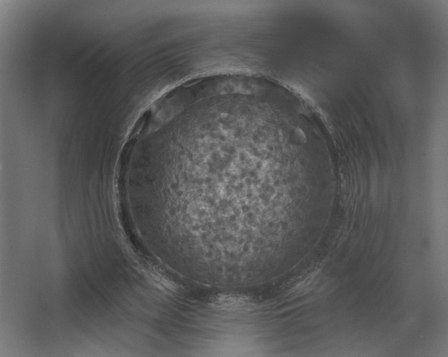 X0000067840487200604201245