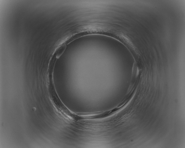 X0000067840488200604201245