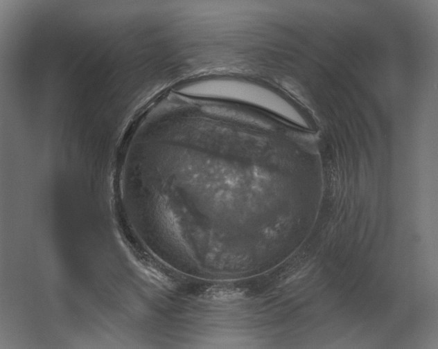 X0000067840491200604201245