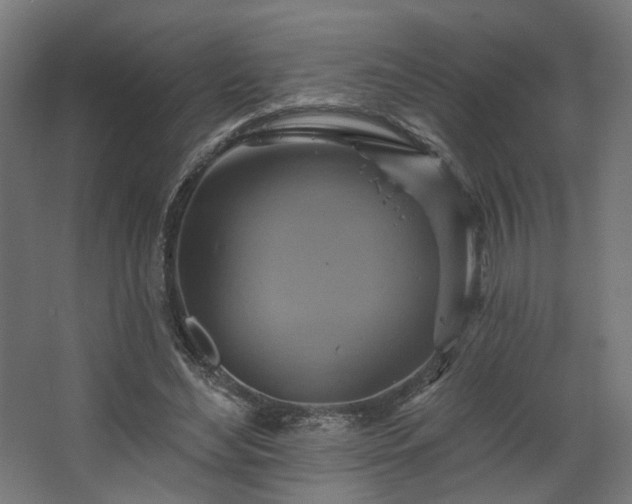 X0000067840492200604201245