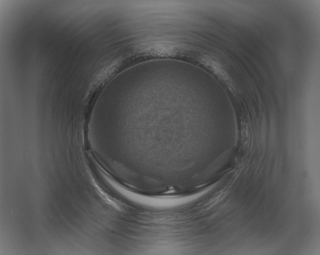 X0000067840493200604201245