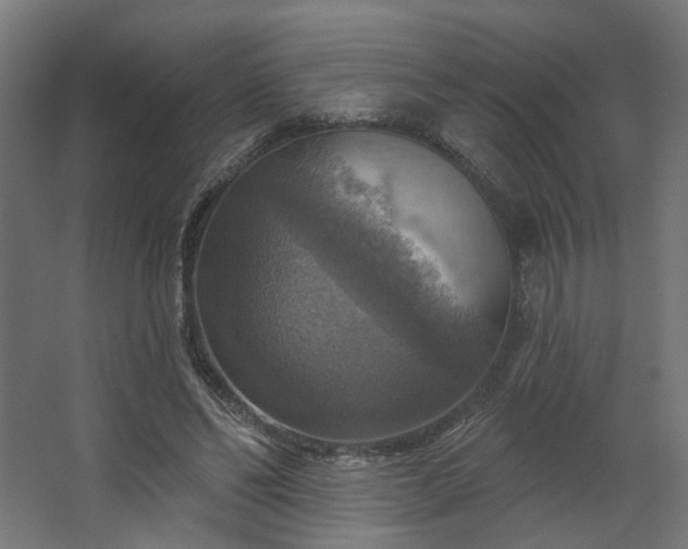 X0000067840494200604201245