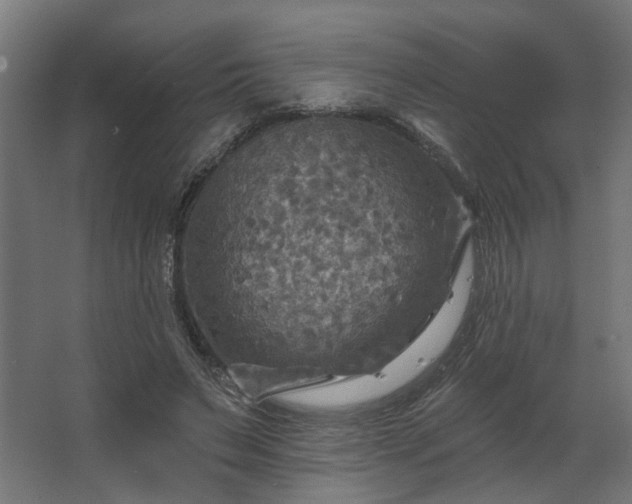 X0000067840495200604201245