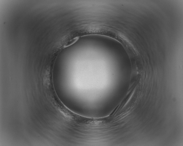 X0000067840497200604201245