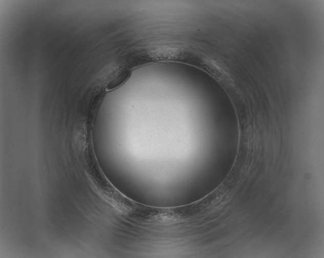 X0000067840498200604201245