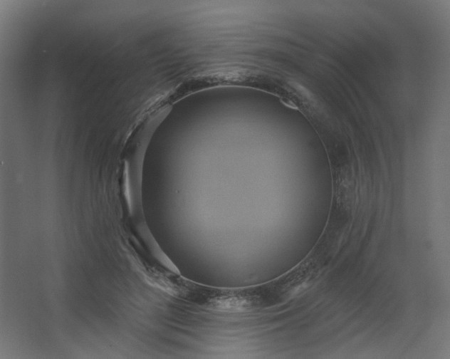 X0000067840500200604201245