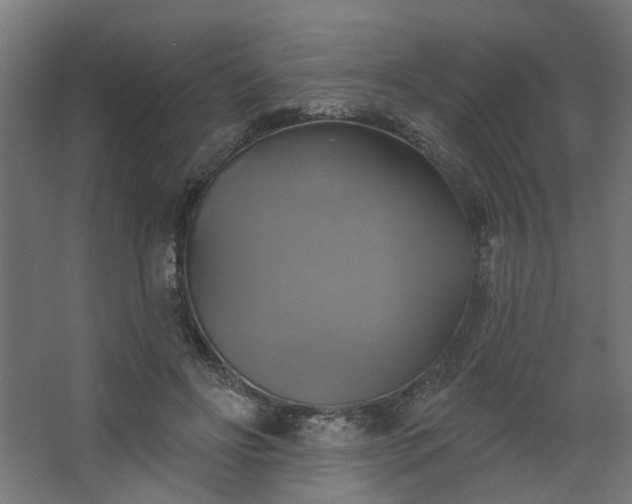 X0000067840502200604201245