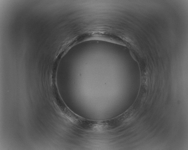 X0000067840504200604201245