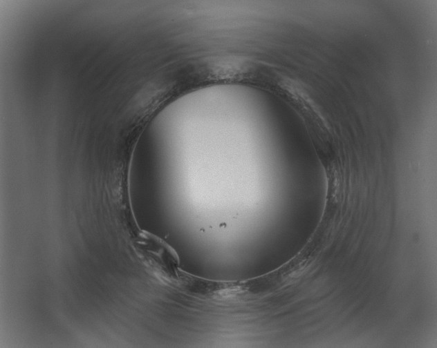 X0000067840505200604201245