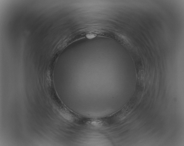 X0000067840506200604201245