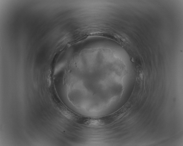 X0000067840507200604201245