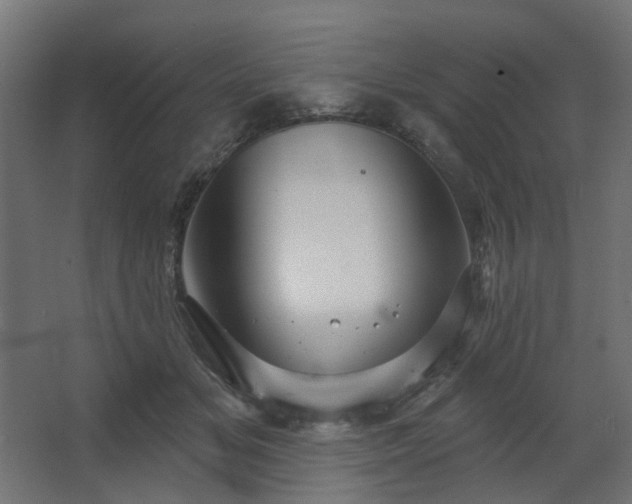 X0000067840509200604201245