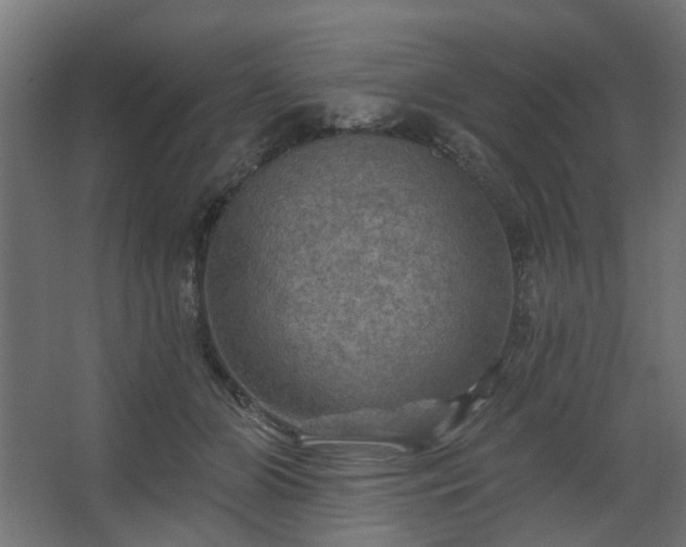 X0000067840510200604201245