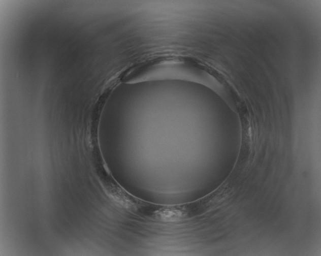 X0000067840512200604201245