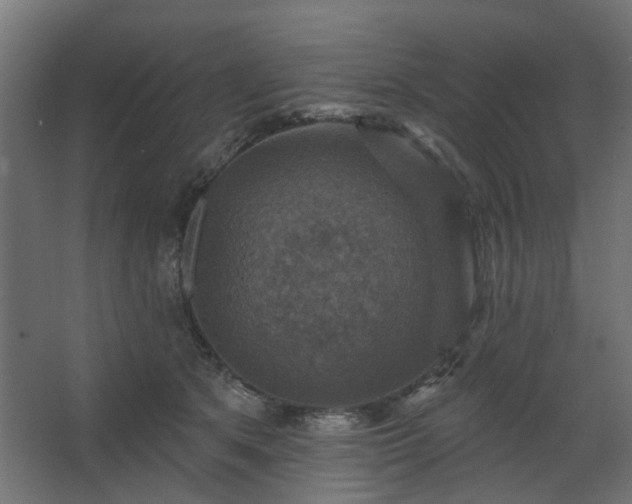 X0000067840513200604201245